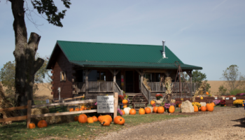 Screen shot 2013-11-13 at 12.46.12 PM