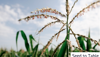 Screen shot 2013-12-07 at 2.15.38 PM