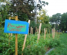 ai2h_idmOwiLV8MaI0tKUKgO3cLqfOWtea4aX10NEtk